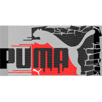 Brand Catalog-ZX 581